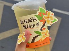 -古茗(横街店)