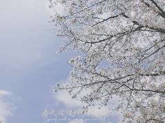 -上海辰山植物园