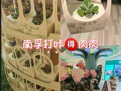 -上海月星家居(澳门路店)