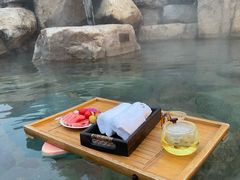 -天目湖涵田半山温泉