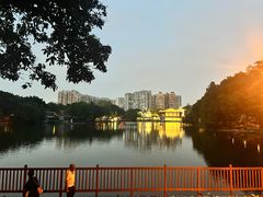 -荔湾湖公园