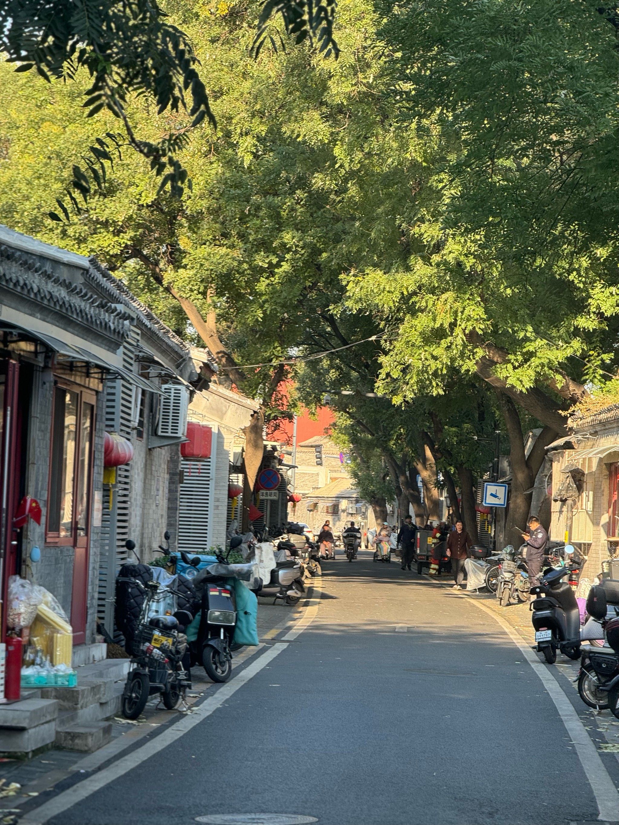 一年四季蕞爱的就是北京的秋🍂

清晨的胡同别有一番韵味
