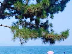 -悦海公园
