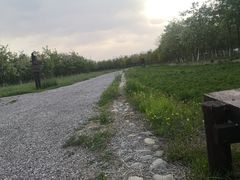 -西青郊野公园