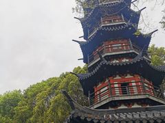 -上海佘山国家森林公园西佘山园