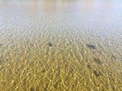 -北京雁栖湖国际会展中心