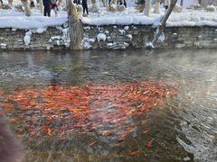 -水磨沟公园