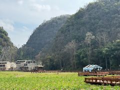 -高荡千年布依古寨旅游景区