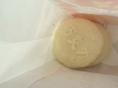 -海清宁记大馅云吞