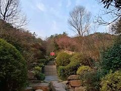 -桃花岭景区