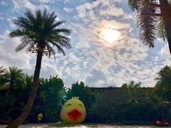 -厦门日月谷温泉渡假村