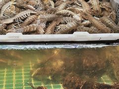 -坛南湾阿强农家乐.海鲜大排档老字号(福州地标美食店)