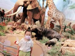 -陕西自然博物馆