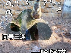 -乐和乐都主题乐园