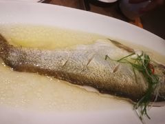 白蕉海鲈鱼-江南原著(中联广场店)