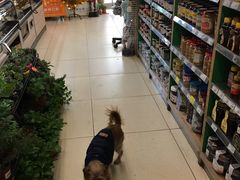 -绿叶子超市(公园大道店)