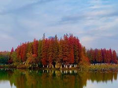 -艾溪湖湿地公园