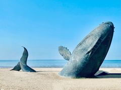 -烟台金沙滩海滨公园