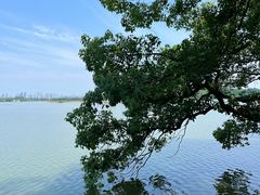 -东湖落雁景区