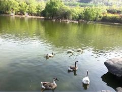 -西安秦岭野生动物园