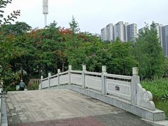 -映月湖公园