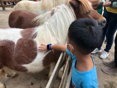 -昆明动物园