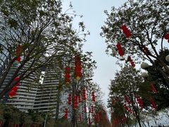 -洲头咀公园