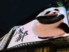 -合景·悠方(成都店)