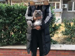 -宠福鑫动物医院(望京分院)