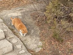 -北京凤凰岭
