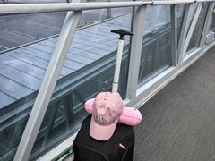 -哈尔滨太平国际机场-T2航站楼
