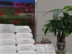 -雅悦齿科(顾村公园店)