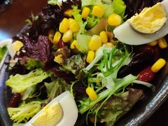 -盐官日光域房车营地·有盐餐厅