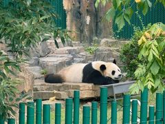 -大连森林动物园