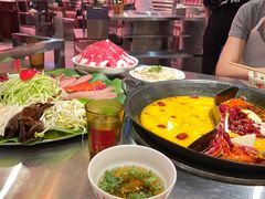 -朱光玉火锅馆(正弘城店)