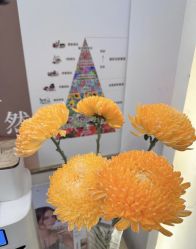 -MIDA蜜哒•科技逆龄美肤连锁