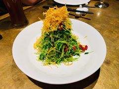 巧拌豆苗-四季民福烤鸭店(西单华威约饭街店)