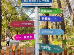 -上海共青森林公园