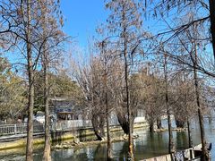 -大理洱海