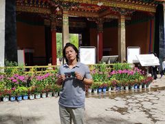 -罗布林卡