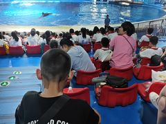 -华夏文旅西安度假区