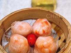 虾饺-老广新意(奥园店)