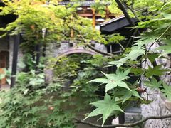 -鱼桥巷·美学川菜