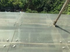 -重庆医科大学附属第一医院(本部)