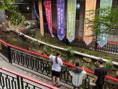 -将军关探险漂流