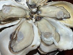 -蚝堡海鲜·威海菜·海肠捞饭·烧烤·亚洲吃蚝公司(幸福门店)