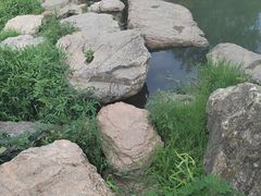 -南山风景名胜区
