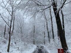 -秦岭终南山世界地质公园翠华山景区