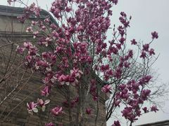 -烤肉宛饭庄(北新桥店)