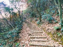 -杭州半山国家森林公园